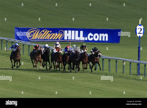 william hill us stock|william hill horse racing today.